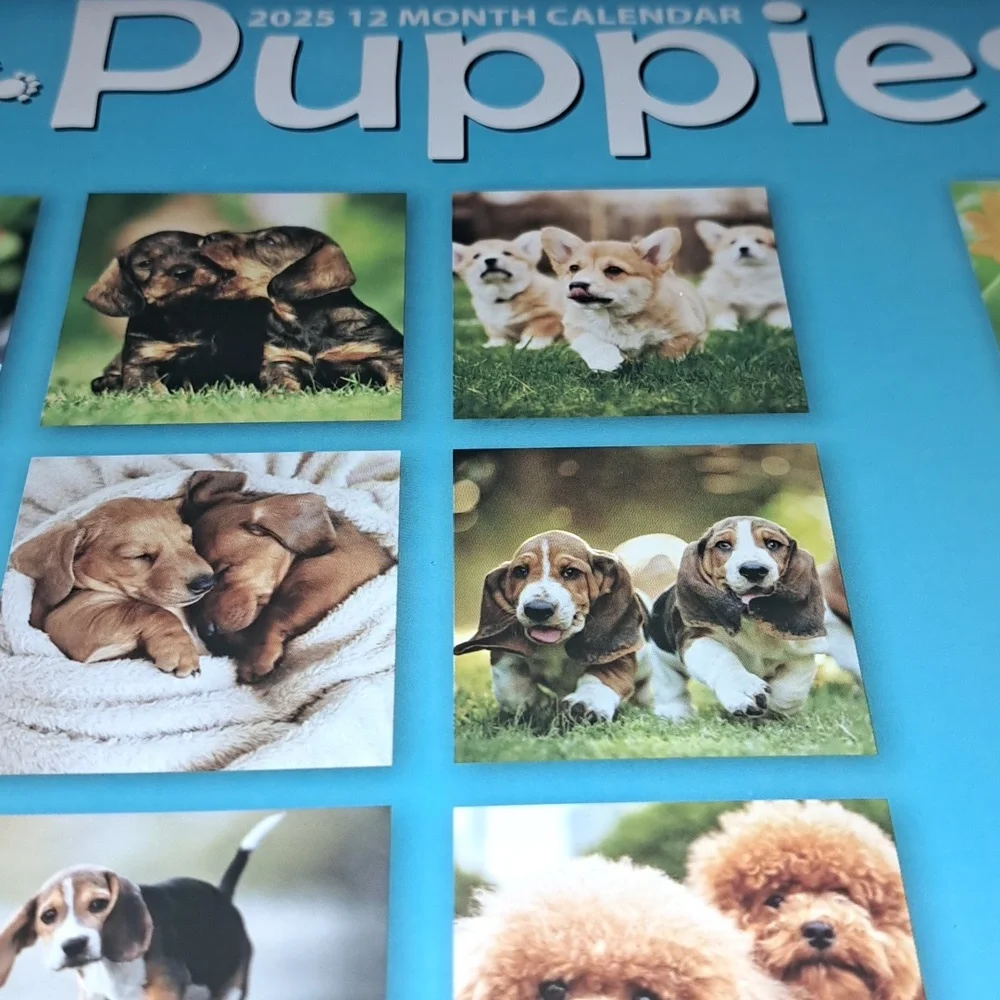 Puppy 2025 calendar/ BUNDLE ONLY 2or more items